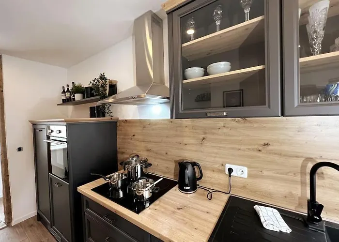 Ar Iii I 4 Pers I Modern I Schillerapartment Apartment Rudolstadt